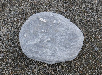  Vorschaubild U249-30415