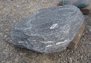  Vorschaubild U275-35321