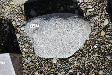  Vorschaubild U290-25894