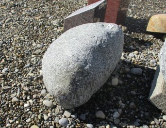  Vorschaubild U290-25894