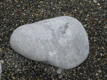  Vorschaubild U303-18941