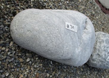  Vorschaubild U303-18941