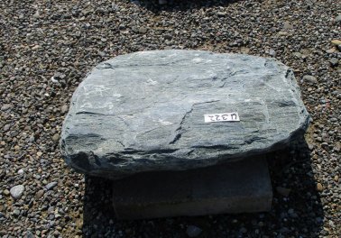  Vorschaubild U322-27383