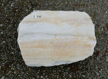  Vorschaubild U339-30739