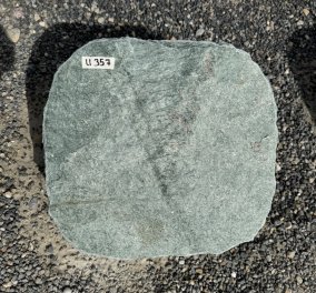  Vorschaubild U357-37091