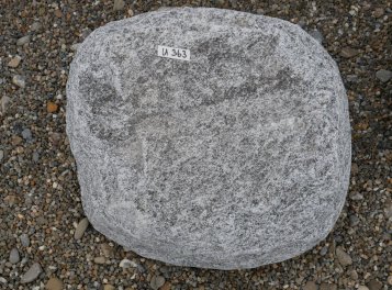  Vorschaubild U363-29237
