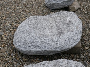  Vorschaubild U363-29237