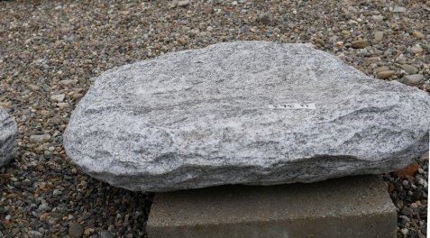  Vorschaubild U363-29237