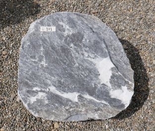  Vorschaubild U373-30772