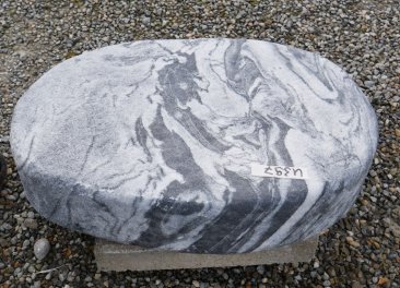  Vorschaubild U397-36073