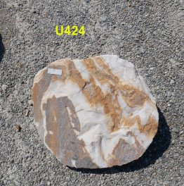  Vorschaubild U424-23065