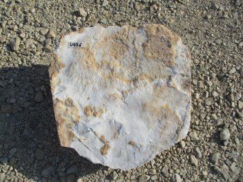  Vorschaubild U436-23077