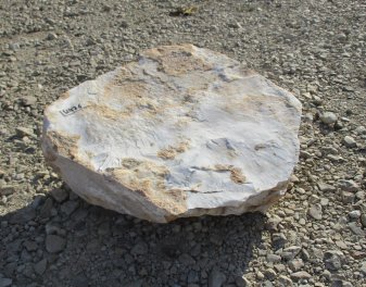  Vorschaubild U436-23077