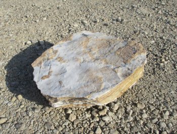  Vorschaubild U436-23077