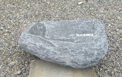  Vorschaubild U493-27419