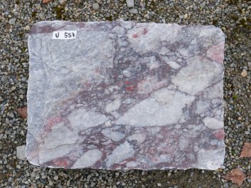  Vorschaubild U557-36266