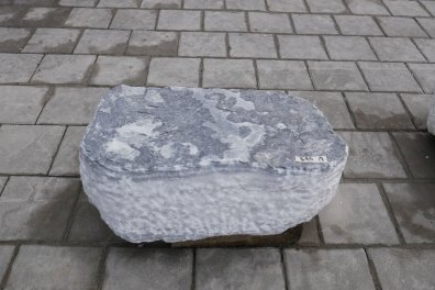  Vorschaubild U579-36255