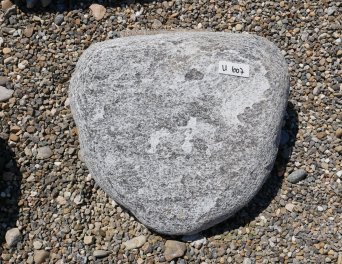  Vorschaubild U607-29262