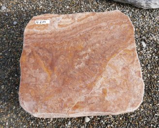  Vorschaubild U614-36047