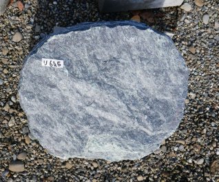  Vorschaubild U645-36089