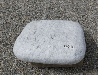  Vorschaubild U653-31556