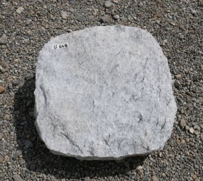  Vorschaubild U668-31571