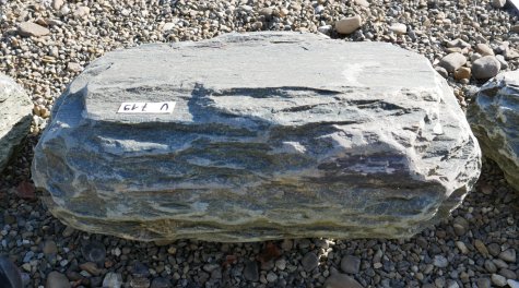  Vorschaubild U719-36095