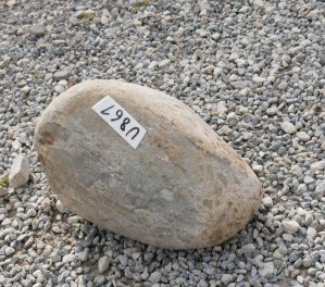  Vorschaubild U861-32719