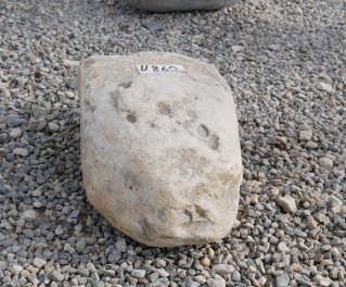  Vorschaubild U862-32718