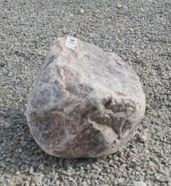  Vorschaubild U863-32717