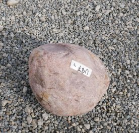  Vorschaubild U875-32705