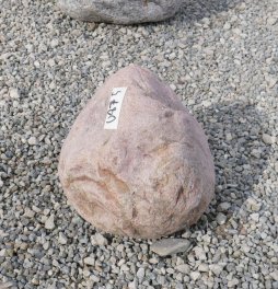  Vorschaubild U875-32705