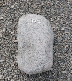  Vorschaubild U876-32704