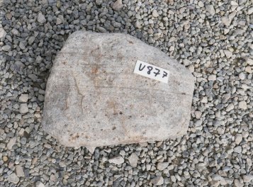  Vorschaubild U877-32703