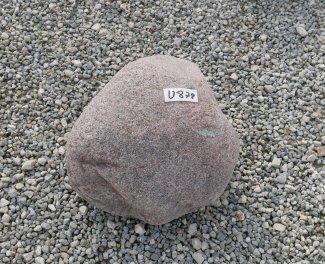  Vorschaubild U878-32702