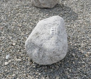  Vorschaubild U879-32701