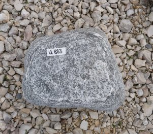  Vorschaubild U883-30599