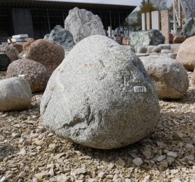  Vorschaubild U891-30584