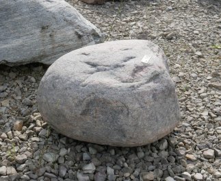  Vorschaubild U915-33378