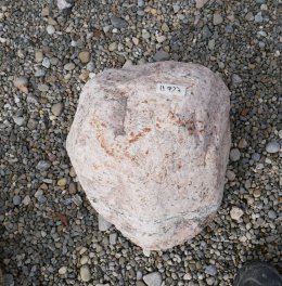  Vorschaubild U927-29278