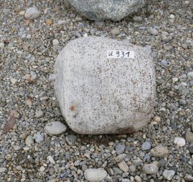  Vorschaubild U931-29285