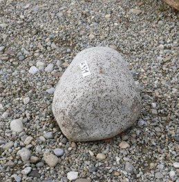  Vorschaubild U931-29285