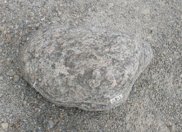  Vorschaubild U945-31463