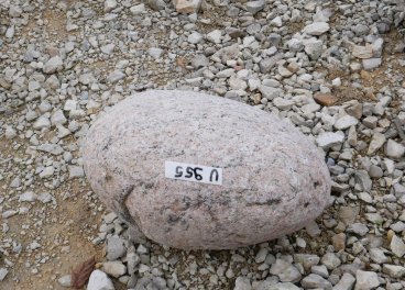  Vorschaubild U955-32214