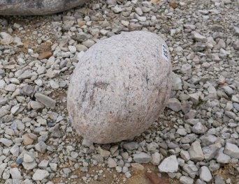  Vorschaubild U955-32214