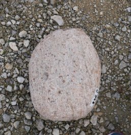  Vorschaubild U958-32217